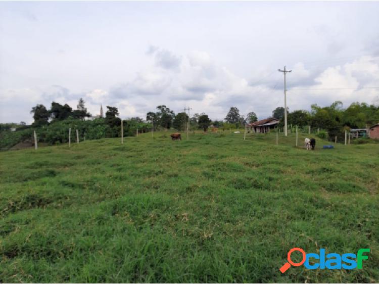 Se Vende Lote De 7500 M2 Circasia