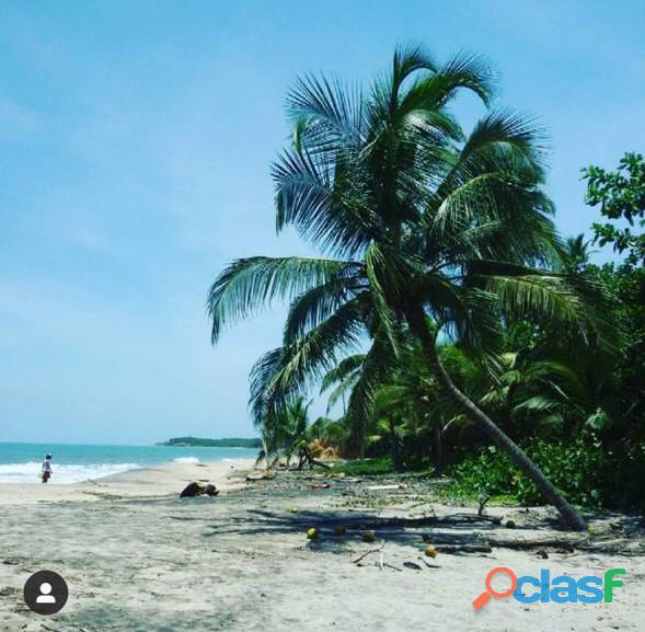 Se Vende Predio en la Playa de Palomino (La Guajira)