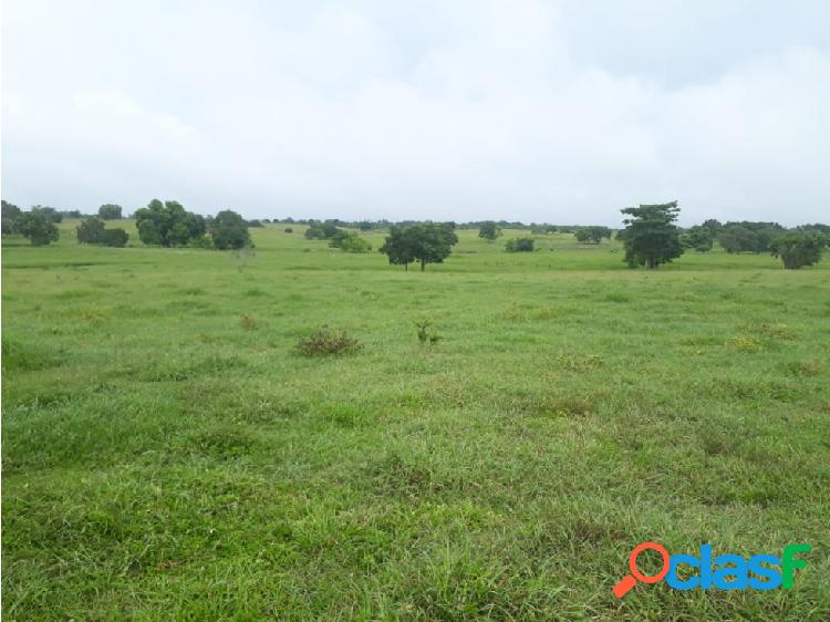 VENDE FINCA DE 116 HECTAREAS EN SAHAGUN