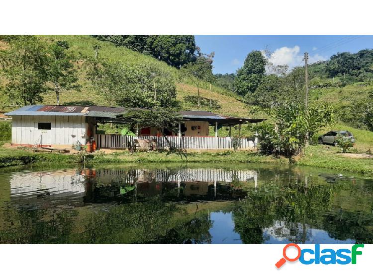 VENTA DE FINCA EN CAQUETÁ