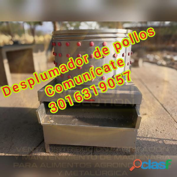 Desplumadora automática de pollos y pavos