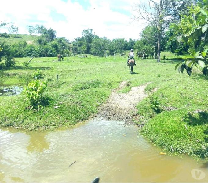 SE VENDE FINCA 130 HECTÁREAS ECONÓMICA CIMITARRA SANTANDER