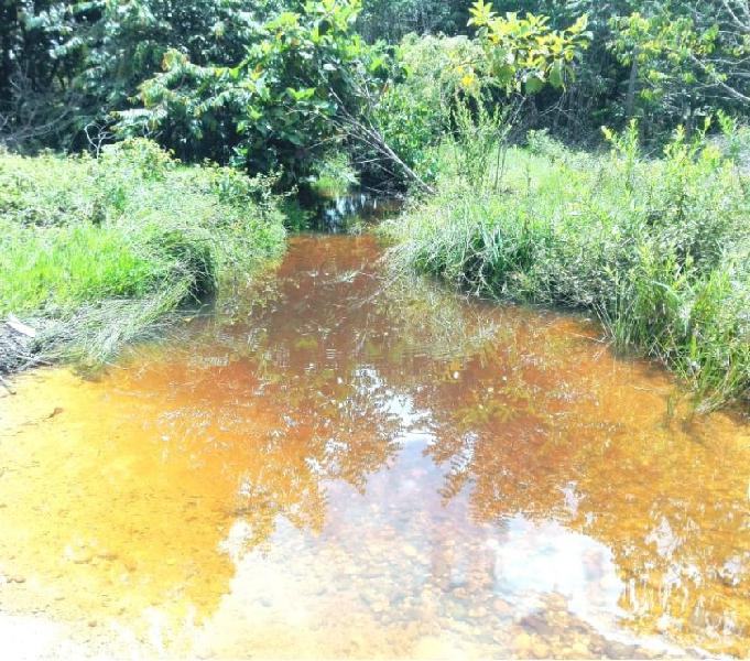 SE VENDE FINCA DE 12 HECTÁREAS PLANA BUENAS AGUAS