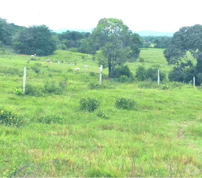 SE VENDE FINCA DE 61 HECTÁREAS TRACTORA BLE ECONÓMICA