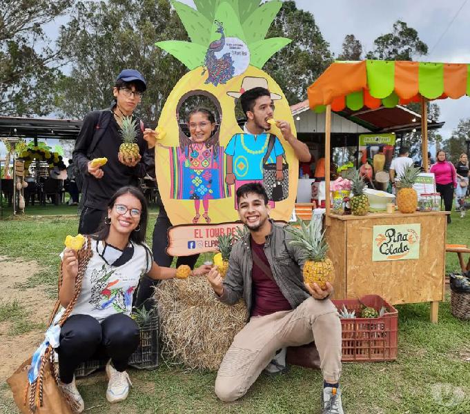 Tour Artesanal y de la Piña Oro Miel | La Mesa de Los