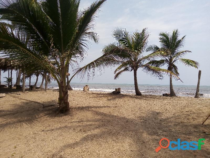 Lotes en La Playa de Palomino, La Guajira