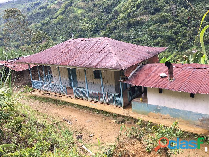 VENTA FINCA MUNICIPIO DE VILLAHERMOSA TOLIMA