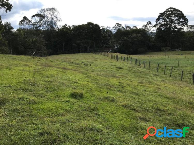 Lote en Llanogrande, Sector la Amalita