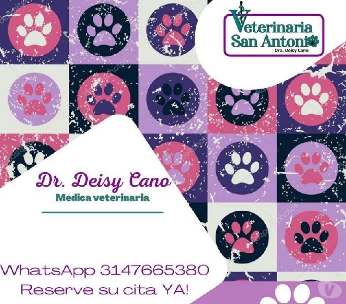 San Antonio de Prado servicios de veterinaria