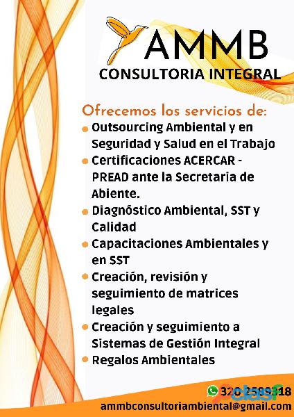 Consultoria Integral HSEQ (SST y Ambiental)
