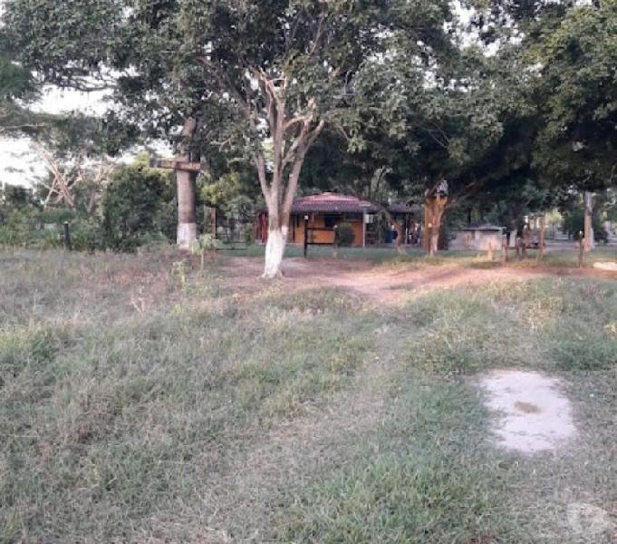 SE VENDE FINCA 30 HECTAREAS ENTRE MARTILLO Y PONEDERA