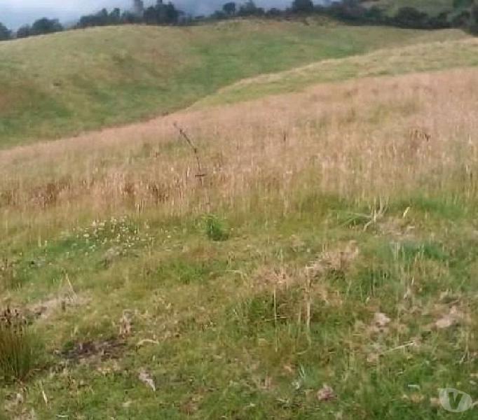 Corregimiento de cabrera pasto nariño