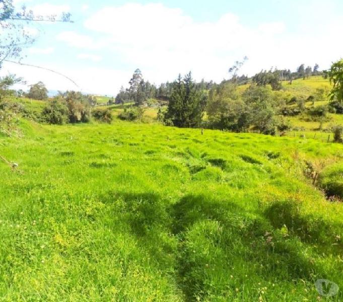 VENDO FINCA 6 FANEGADAS EN SOTAQUIRA