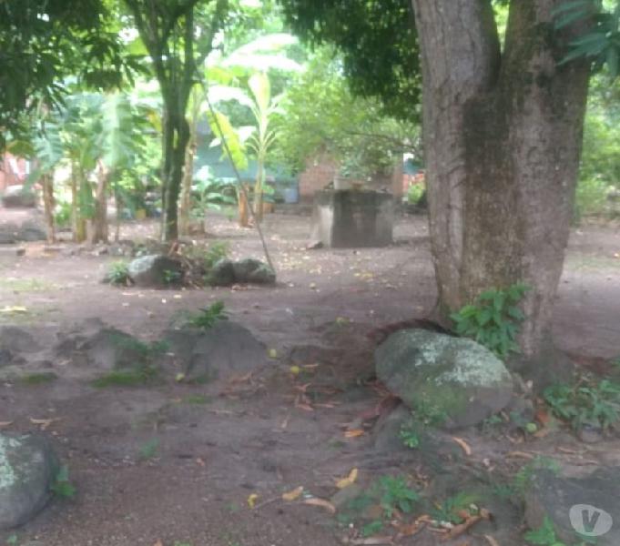 VENTA de casa lote en Piedras Tolima