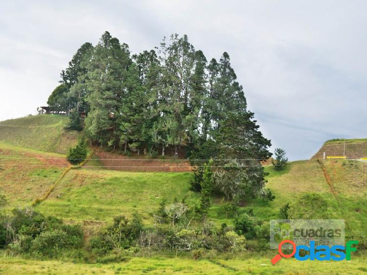 LOTE VIA DON DIEGO LA CEJA