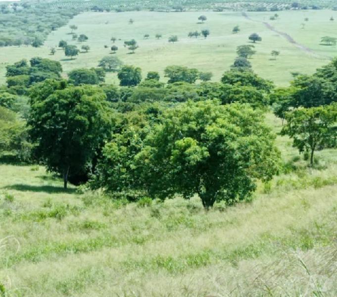 SE VENDE FINCA 70 HECTAREAS CON FRENTE A LA LAGUNA ROTINET