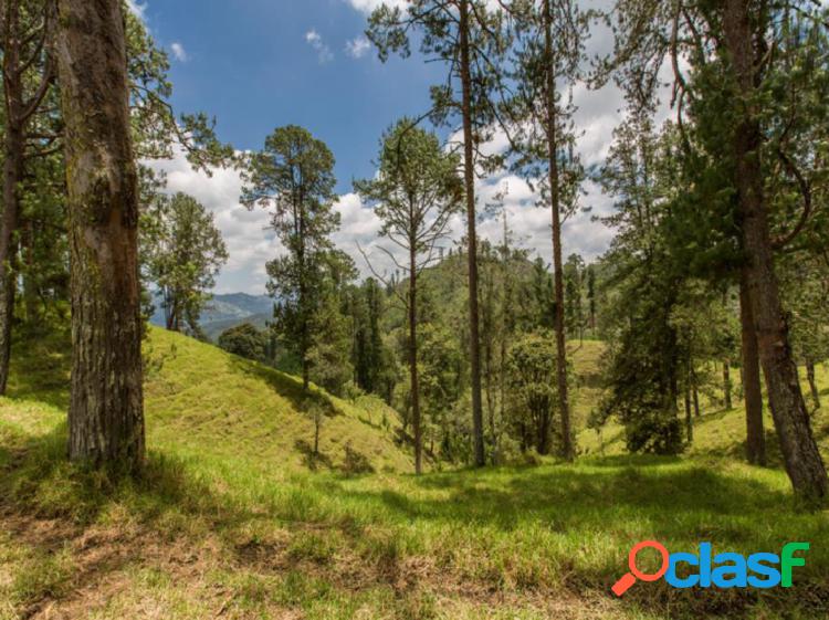 Lotes en venta en Tequendamita, El Retiro