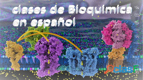 CLASES DE QUÍMICA BIOQUÍMICA