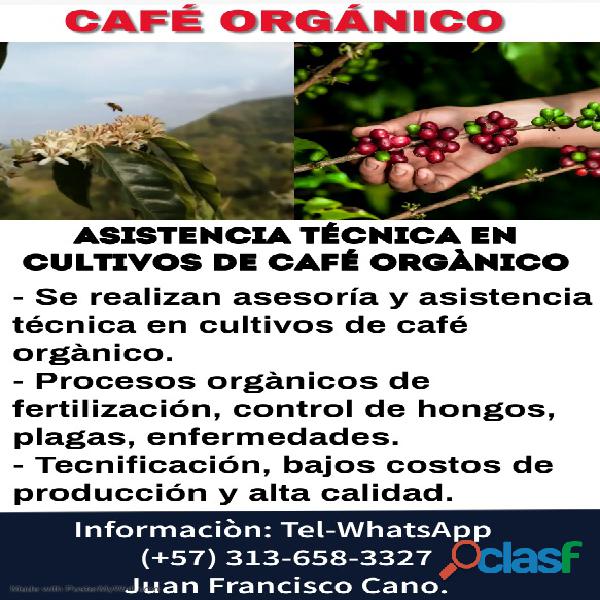 Asistencia técnica en cultivos de café orgánico