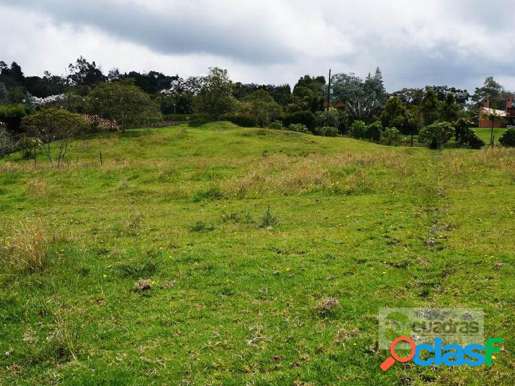 LOTE VIA LAS PALMAS
