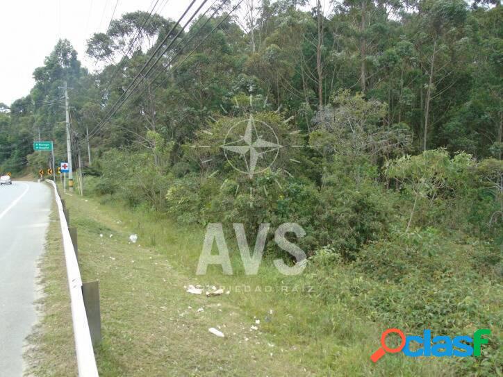Lote comercial OL1649