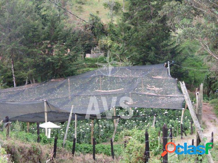 Lote independiente para venta en el Carmen de viboral 4158