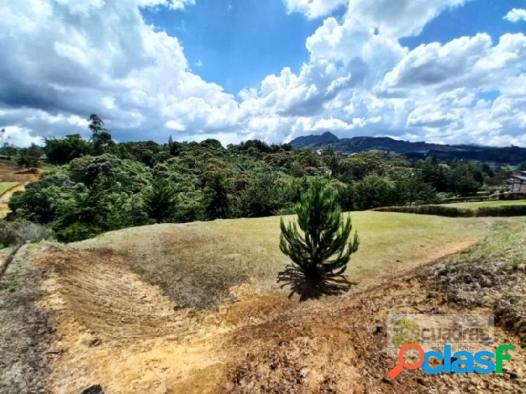 3185 LOTE EN EL CARMEN