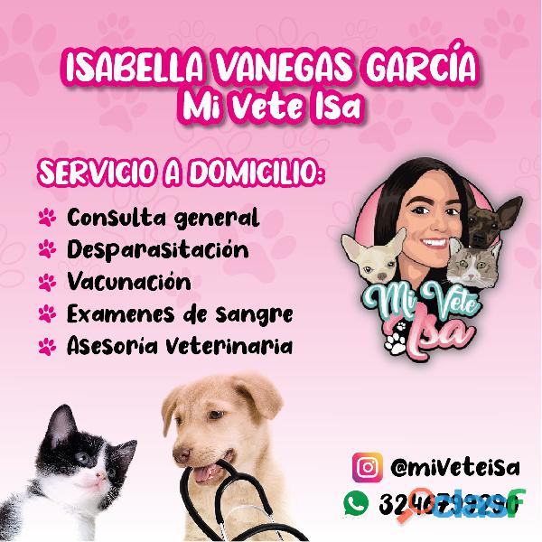 Servicios veterinarios a domicilio