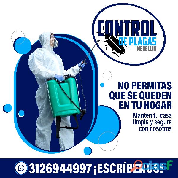 Control de plagas Medellín