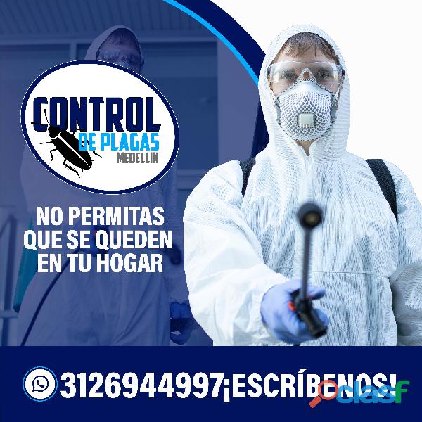 Hacemos control y fumigación de plagas en Medellín