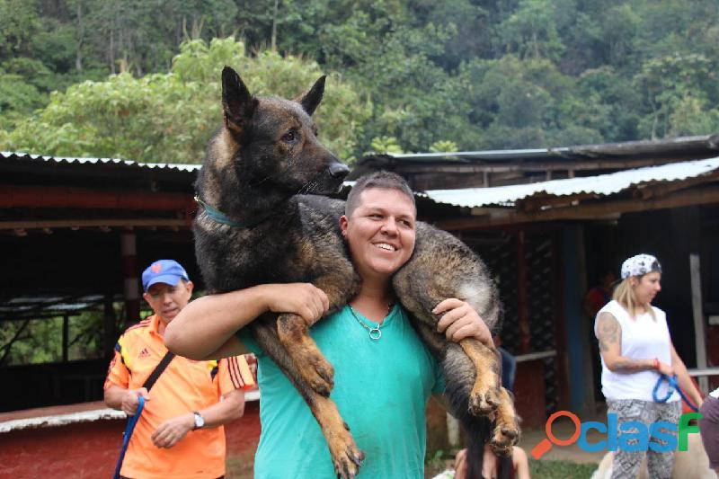 Guardería Canina Campestre