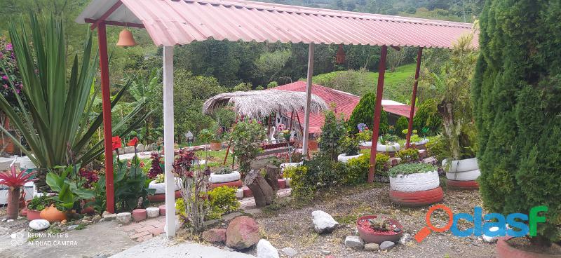 VENDO HERMOSA FINCA EN BITUIMA CUNDINAMARCA