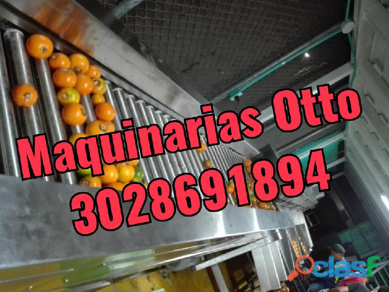 LAVADORA DE FRUTAS Y HORTALIZAS