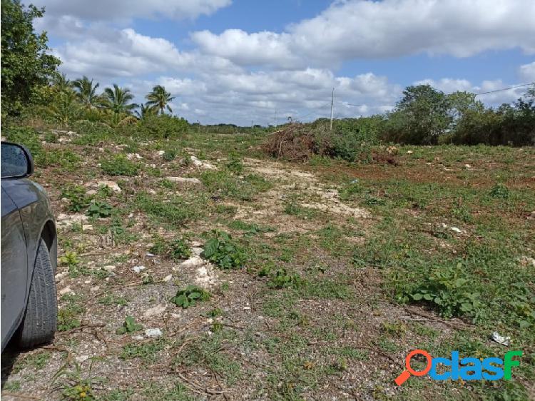 VENTA DE TERRENO EN TIMUCUY YUCATÁN