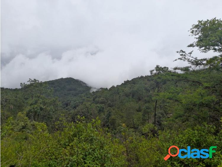 Terrenos de 1 hectárea. Excelente ubicación cerca de