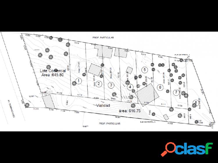 8 lotes en Avenida Domingo Diez, Chamilpa, Cuernavaca;