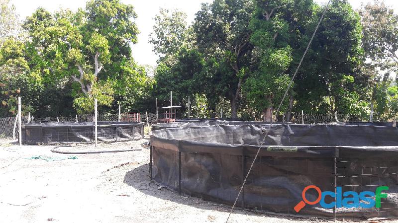 Arriendo finca con proyecto piscicola en Espinal Tolima