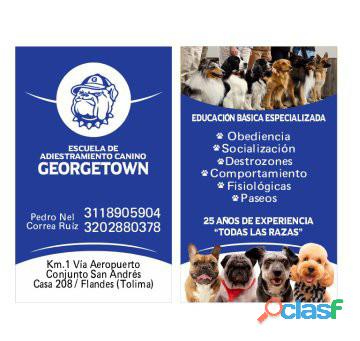 Escuela de adiestramiento canino GEORGETOWN