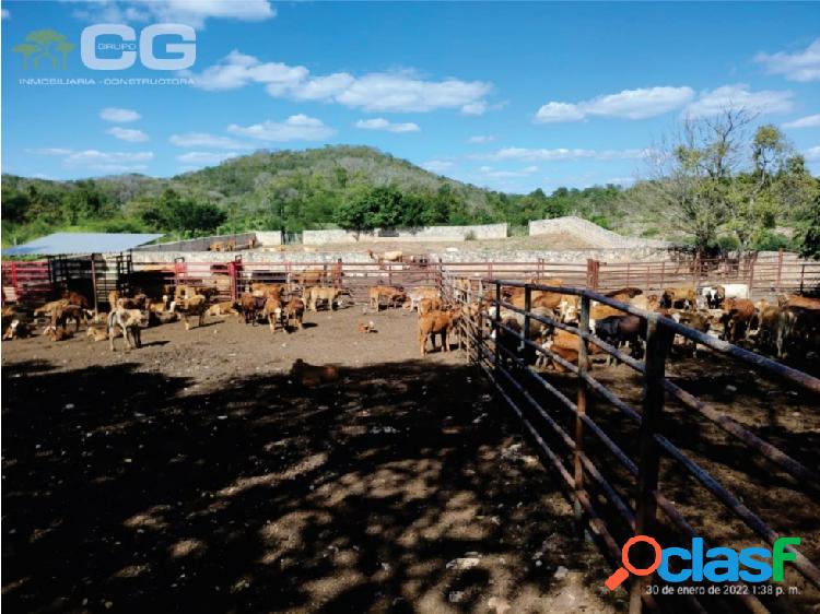 ????RANCHO ACTIVO DE 542 HAS EN VENTA UBICADO EN DZITBALCHE