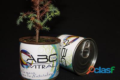 Plantas Enlatadas en ecolata (lata Ecológica) eco regalos