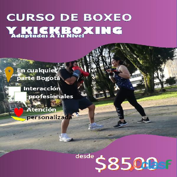 Kick boxing artes marciales clases