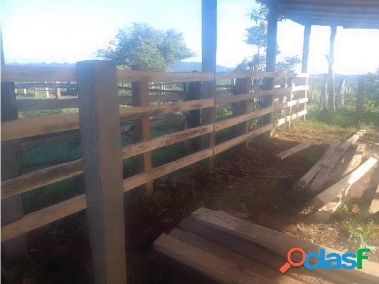 En Venta Finca Productiva de 550 Hectareas