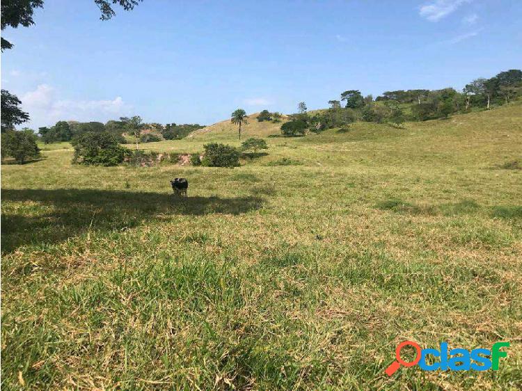 En Venta Finca de 166 héctareas Capitanejo Estado Barinas