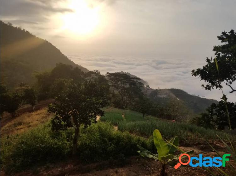 Espectacular Terreno en Galipán