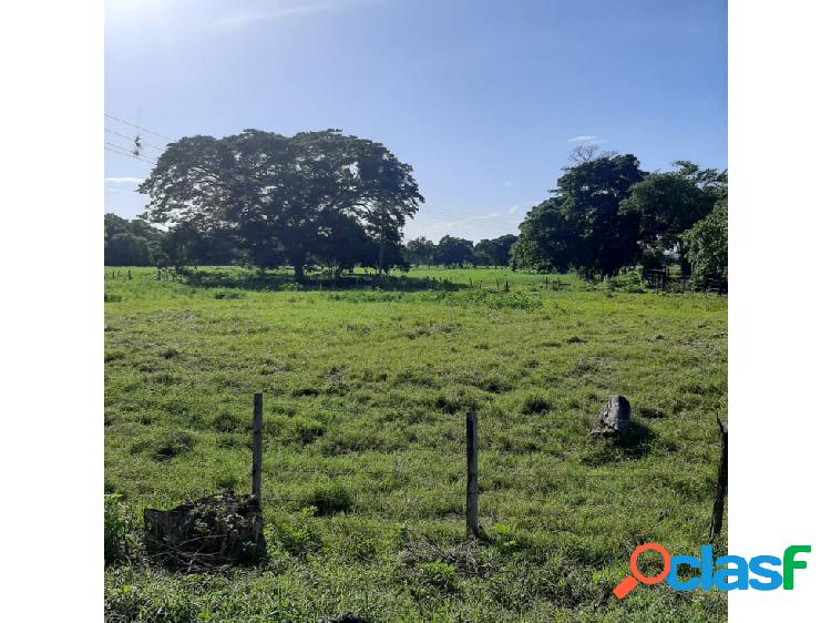 Excelente Finca Agropecuaria de 81 Hectàreas en Yaracal