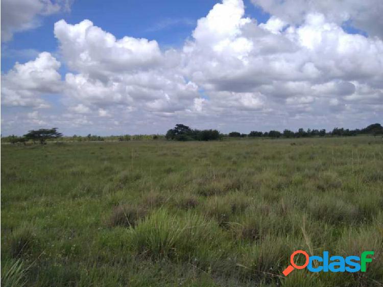 FINCA DE 1.410 Has EN GUARICO PARA ACTIVIDAD AGROPECUARIA.