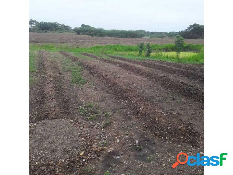 FINCA DE 12 HECTÁREAS EN EL SOMBRERO GUÁRICO PRODUCTIVA