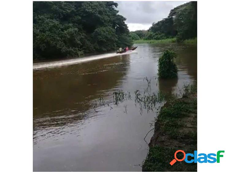 FINCA DE 600 HAS EN ARISMENDI CON POZOS DE AGUA Y