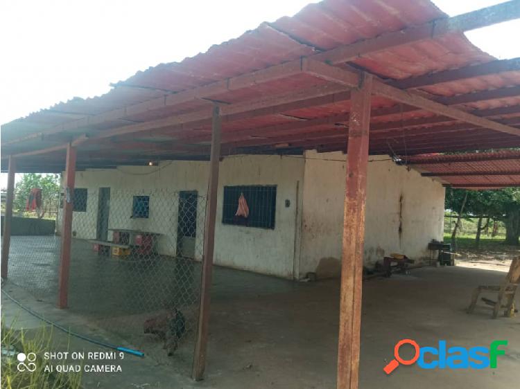 FINCA EN SAN JAIME VE02-1641ZI-MYAFAR