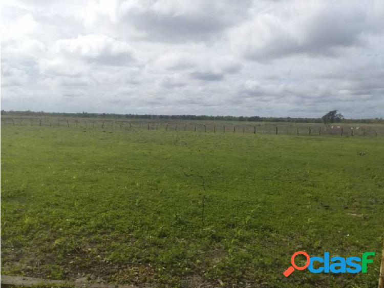 FINCA PARA GANADERIA Y AGRICULTURA EN ZUATA. ANZOATEGUI